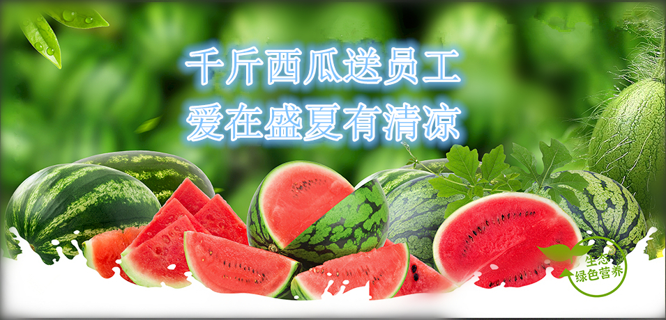 通達軟件公司： 千斤西瓜送員工，愛在盛夏有清涼